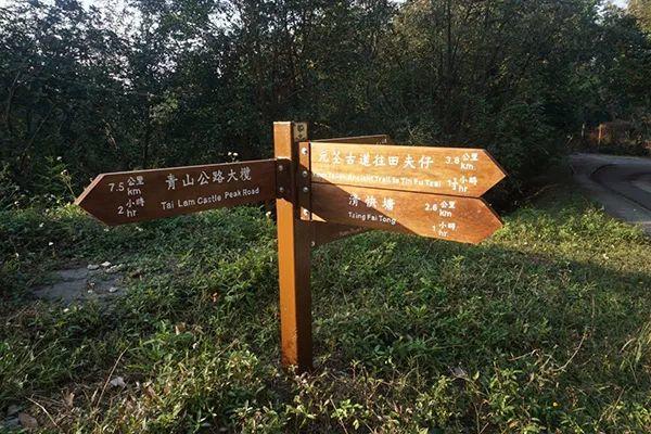 城市细节｜别样红叶：在香港向山进发