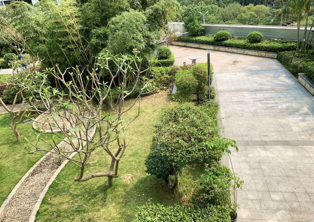 风向︱惠州：会当水击三千里 喜迁新址再出发