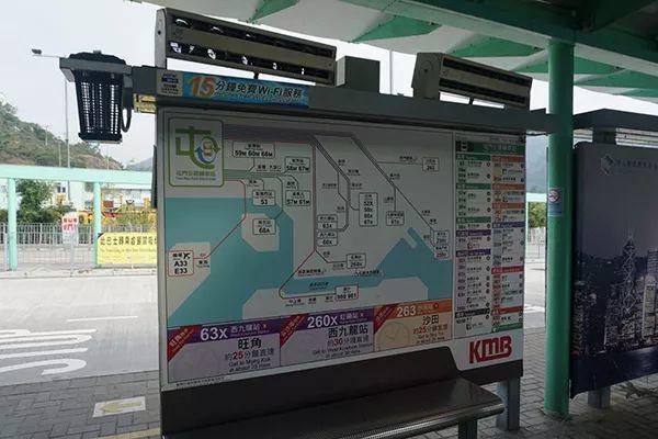 城市细节｜别样红叶：在香港向山进发
