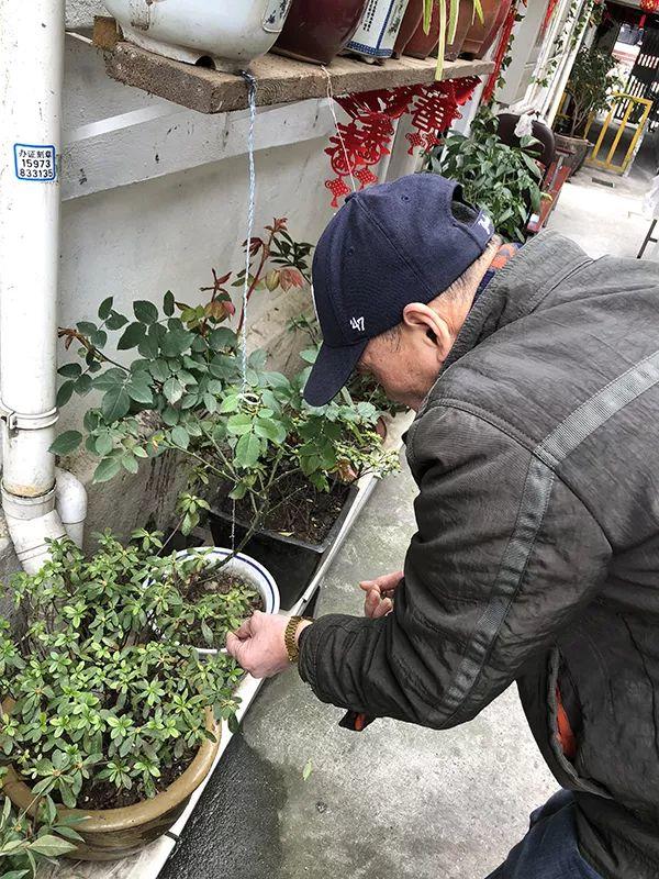 社区更新·展｜上海金友里①：这是一条会定期聚餐的弄堂