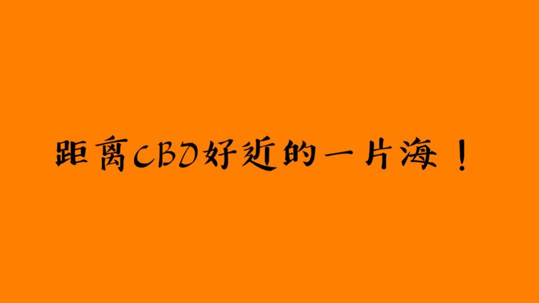 距CBD好近的一片海！剑指深圳湾，广州豪宅发现新大陆