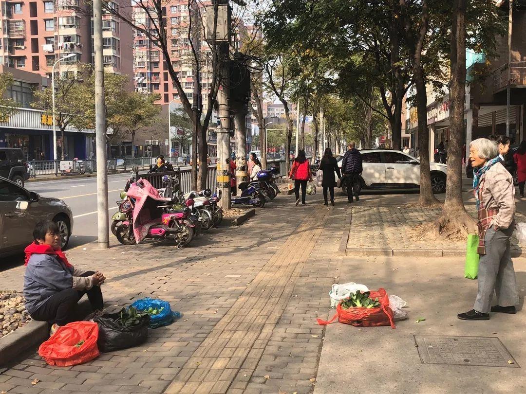 城市漫步·社群在造｜从大居到新城：上海顾村