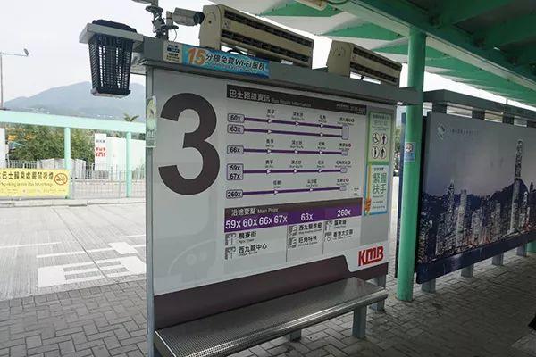 城市细节｜别样红叶：在香港向山进发
