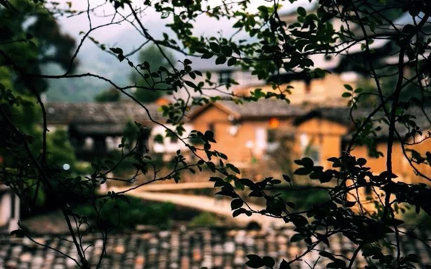 喧闹久了，便找一座古村住下