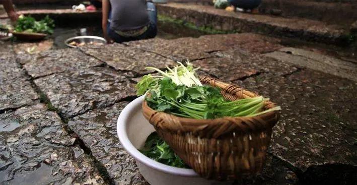 村落里的中国（10）：房前屋后有美能吃