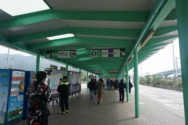 城市细节｜别样红叶：在香港向山进发