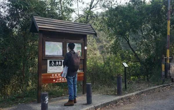 城市细节｜别样红叶：在香港向山进发
