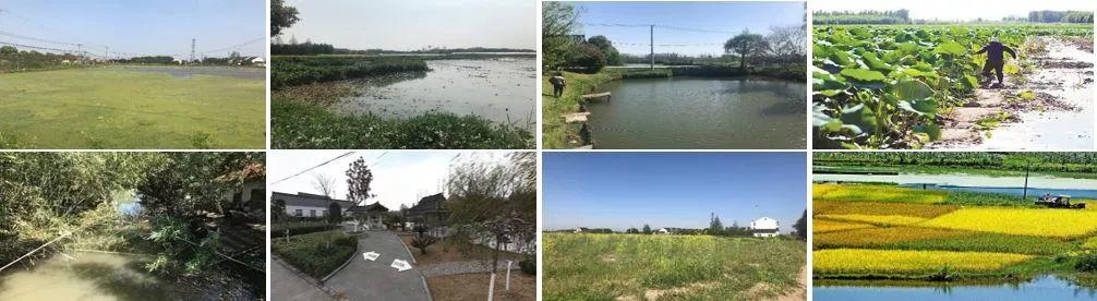 资讯︱大都市地区乡村振兴与规划建设的上海实践