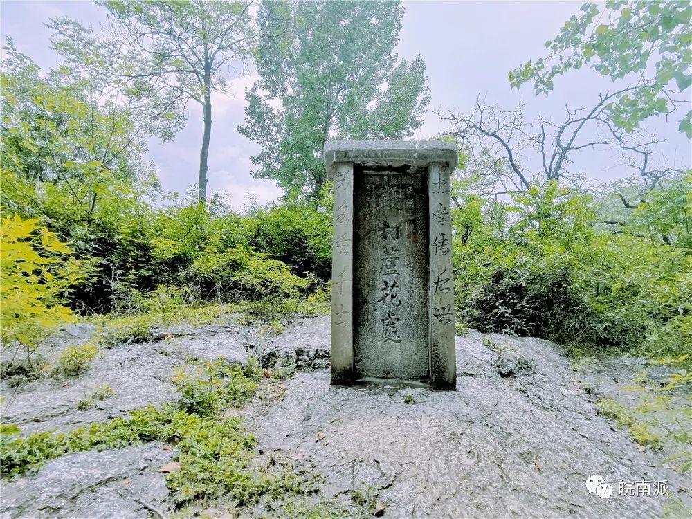 鞭打芦花车牛返村｜中国最长村名  传承孝道文化