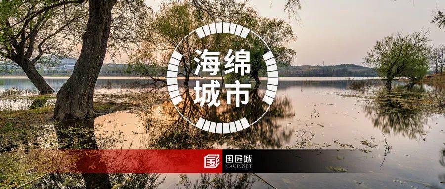 生态修复——海绵城市规划建设理念与关键技术的哲学思考