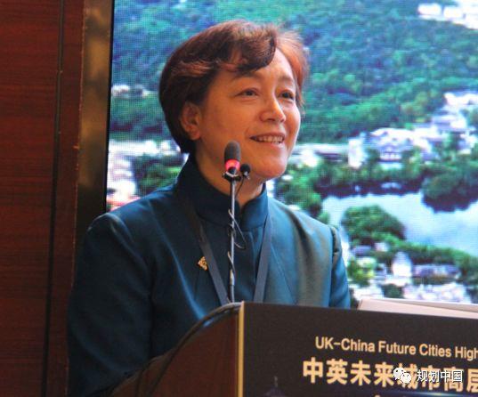 聚焦“绿色智慧可持续” 中英专家共议未来城市发展蓝图