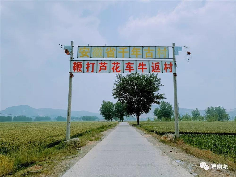 鞭打芦花车牛返村｜中国最长村名  传承孝道文化