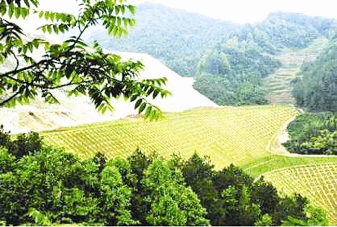 资讯︱矿山生态修复的“四大法宝” 资讯︱矿山生态修复的“四大法宝”