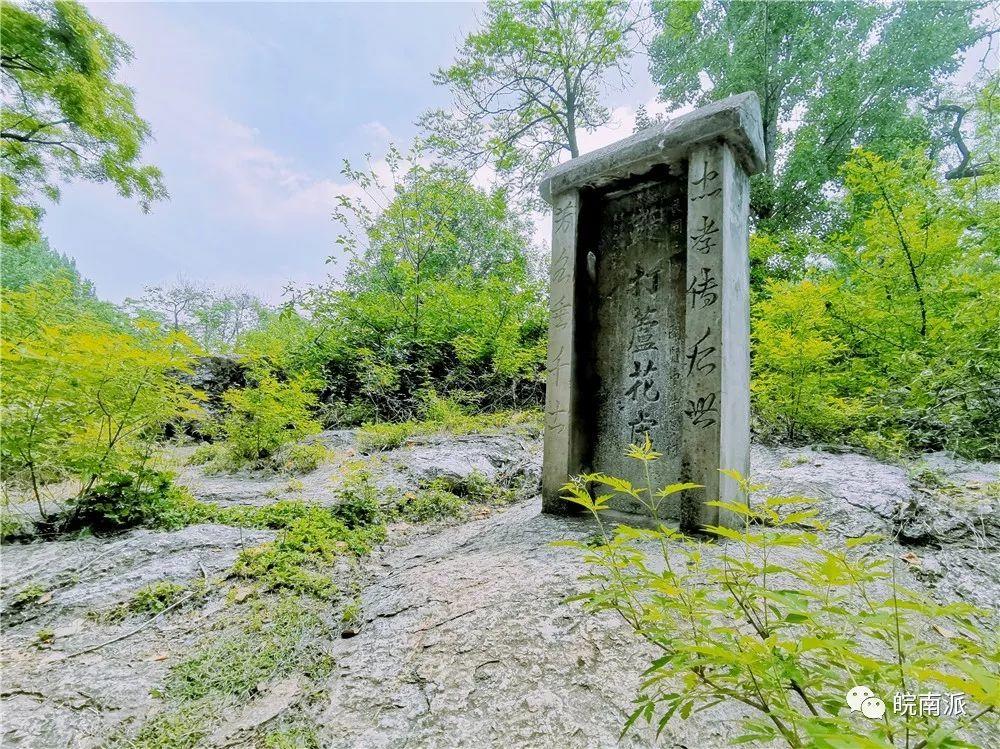 鞭打芦花车牛返村｜中国最长村名  传承孝道文化