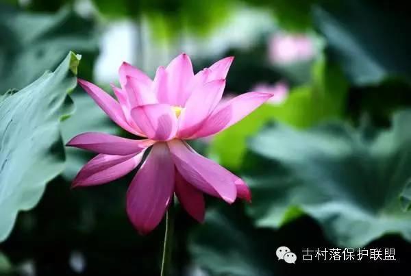 首次列入世界遗产名录的古民居，竟然是它