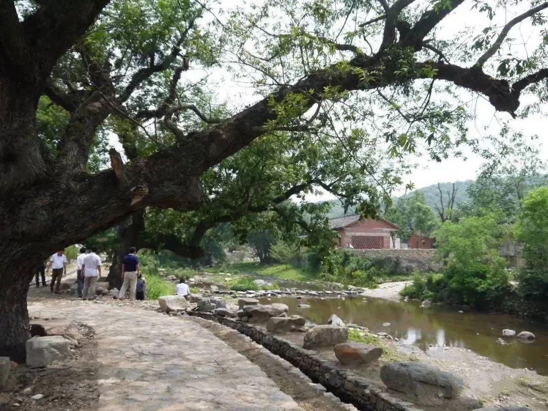 重返没有景观设计师的村落景观——乡村景观该如何改造 重返没有景观设计师的村落景观——乡村景观该如何改造