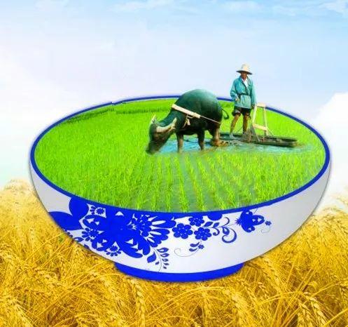 陈文胜:揭开中国农业的真面目:是兴是衰？