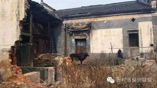 古屋，就这么逝去