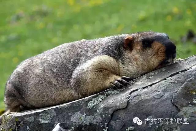 中国古村落的最后一方净土！