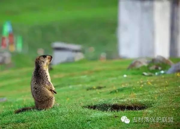 中国古村落的最后一方净土！