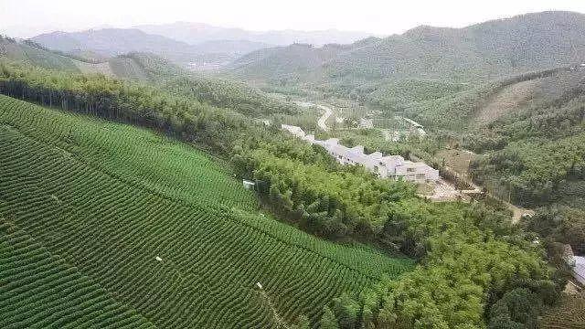 学会助力,同济规划牵线结对帮扶,共促乡村振兴:山西岚县乡村考察团走进浙江湖州 学会助力,同济规划牵线结对帮扶,共促乡村振兴:山西岚县乡村考察团走进浙江湖州