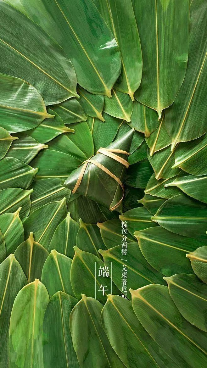 家乡的端午节｜有一粽情叫乡愁