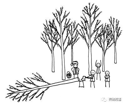 图解广西龙脊干栏住宅的建造