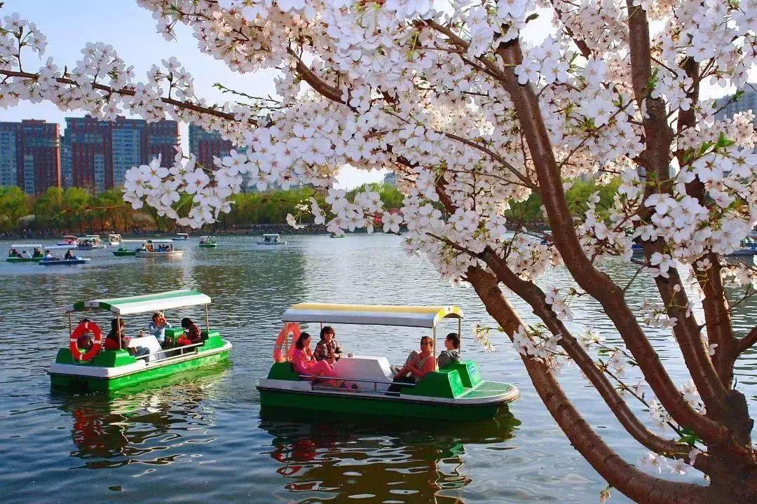 北京在行动 | 从颐和园出发,28.5公里水系步道将串起古都美景! 北京在行动 | 从颐和园出发,28.5公里水系步道将串起古都美景!