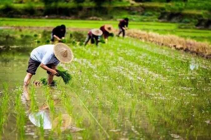 丁关良:土地承包经营权上设定土地经营权的若干问题思考和质疑