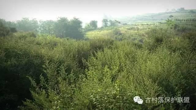 最神奇的千年古村风貌 · 晋陕地坑院