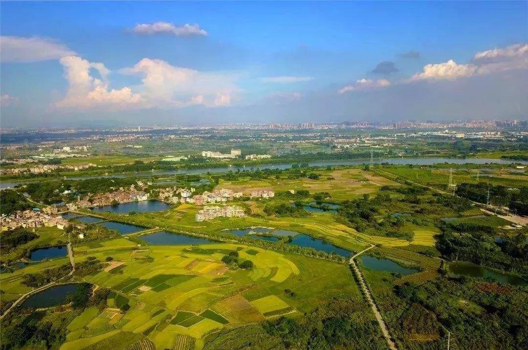 资讯︱赵燕菁：国土空间规划——重塑规划操作体系的新契机
