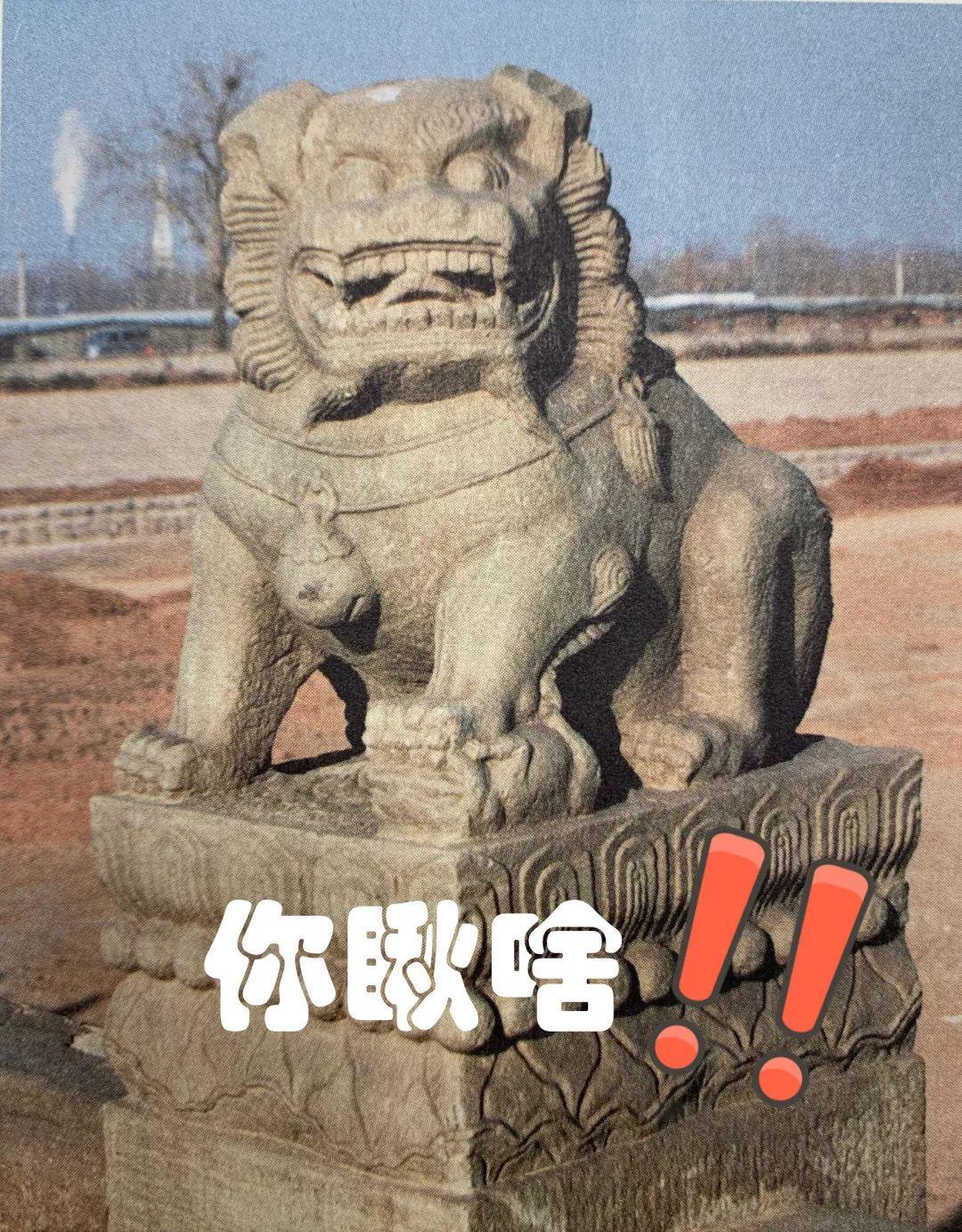 北京的古桥 | 卢沟桥:屹立八百年,古桥亦风景 北京的古桥 | 卢沟桥:屹立八百年,古桥亦风景