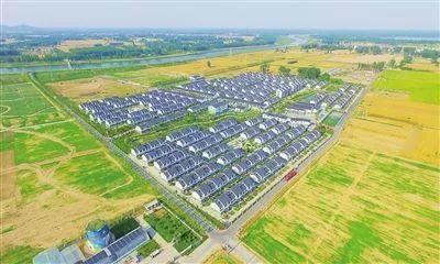 #政策聚焦#盐城盐都区新民村种植大棚高架草莓提高土地利用率