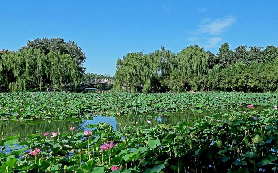 京城周末 | 北京消夏好去处 京城周末 | 北京消夏好去处