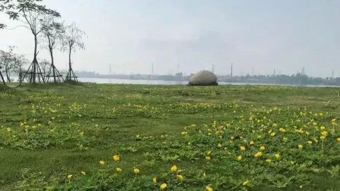 研究︱国内外生态修复案例集锦