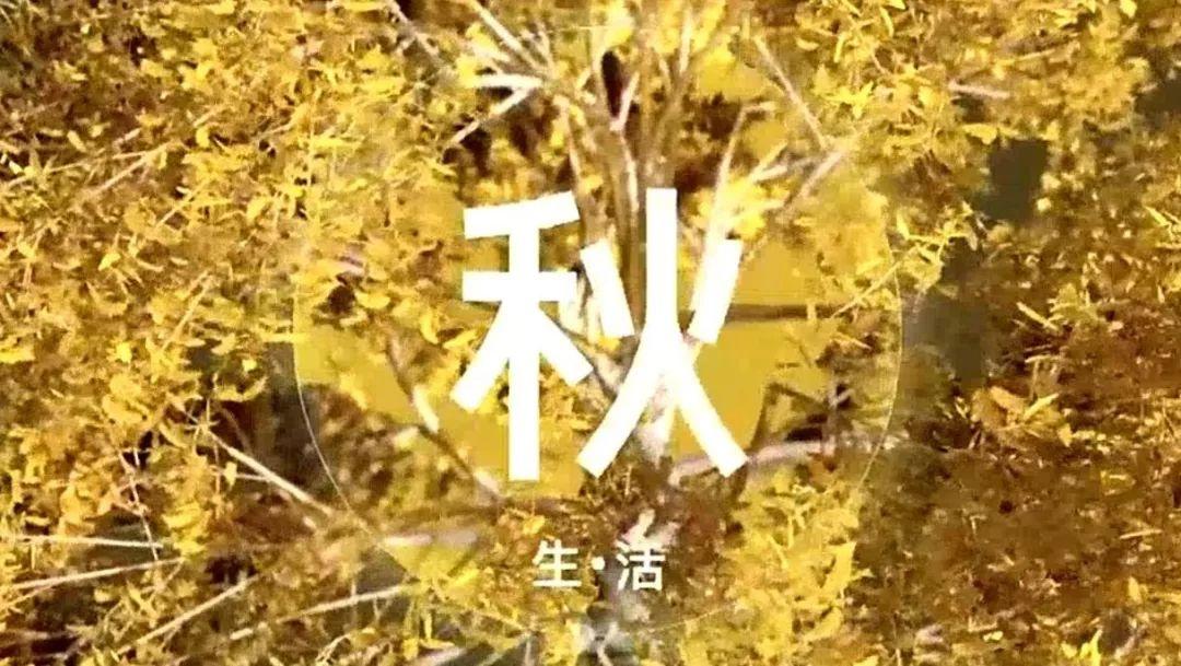 雄安新区启动区城市设计意向视频发布——生活之城，生生不息