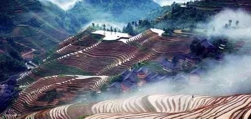 陈明:把乡村打造成美丽经济的前沿阵地