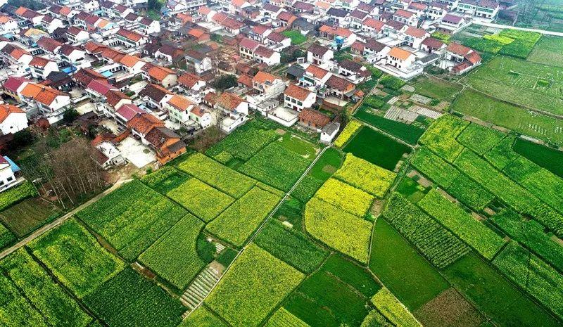 资讯︱专家支招生态文明新时代背景下如何保护耕地？