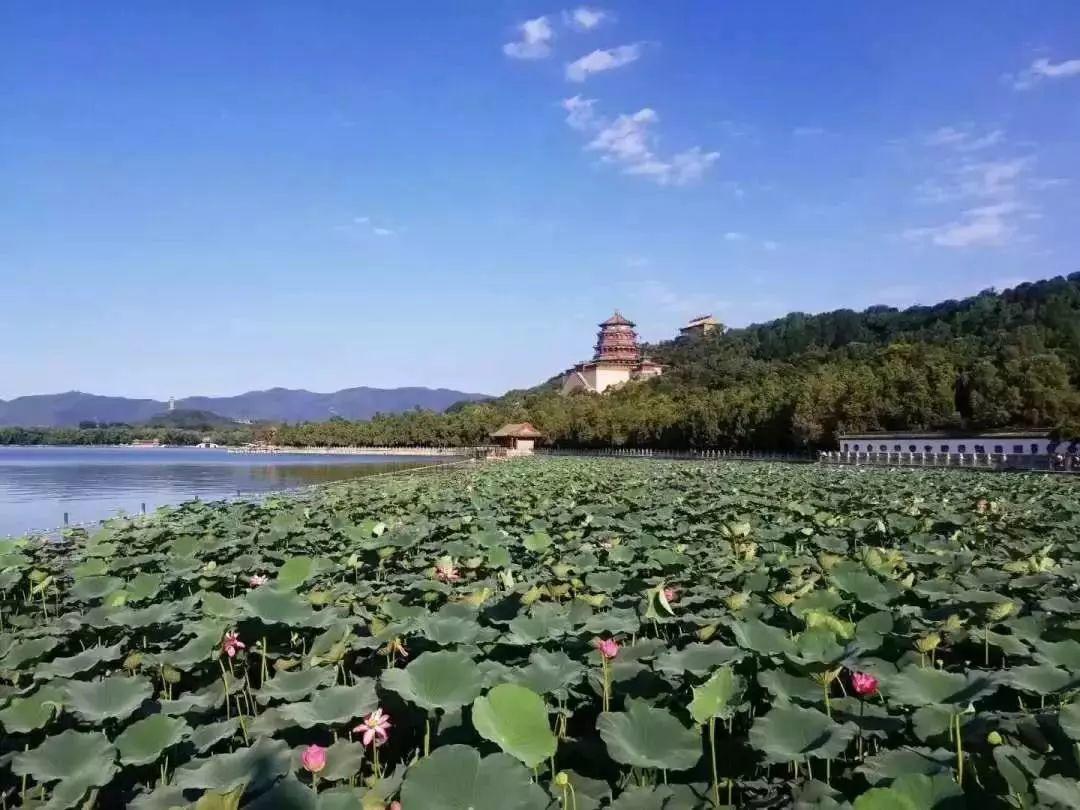 北京在行动 | 从颐和园出发,28.5公里水系步道将串起古都美景! 北京在行动 | 从颐和园出发,28.5公里水系步道将串起古都美景!