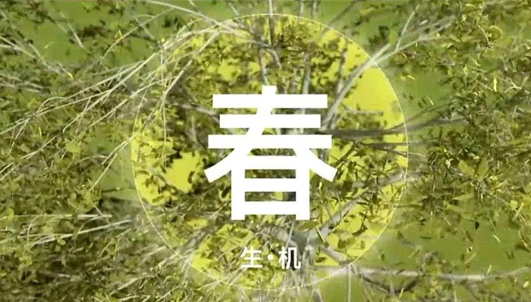 雄安新区启动区城市设计意向视频发布——生活之城，生生不息