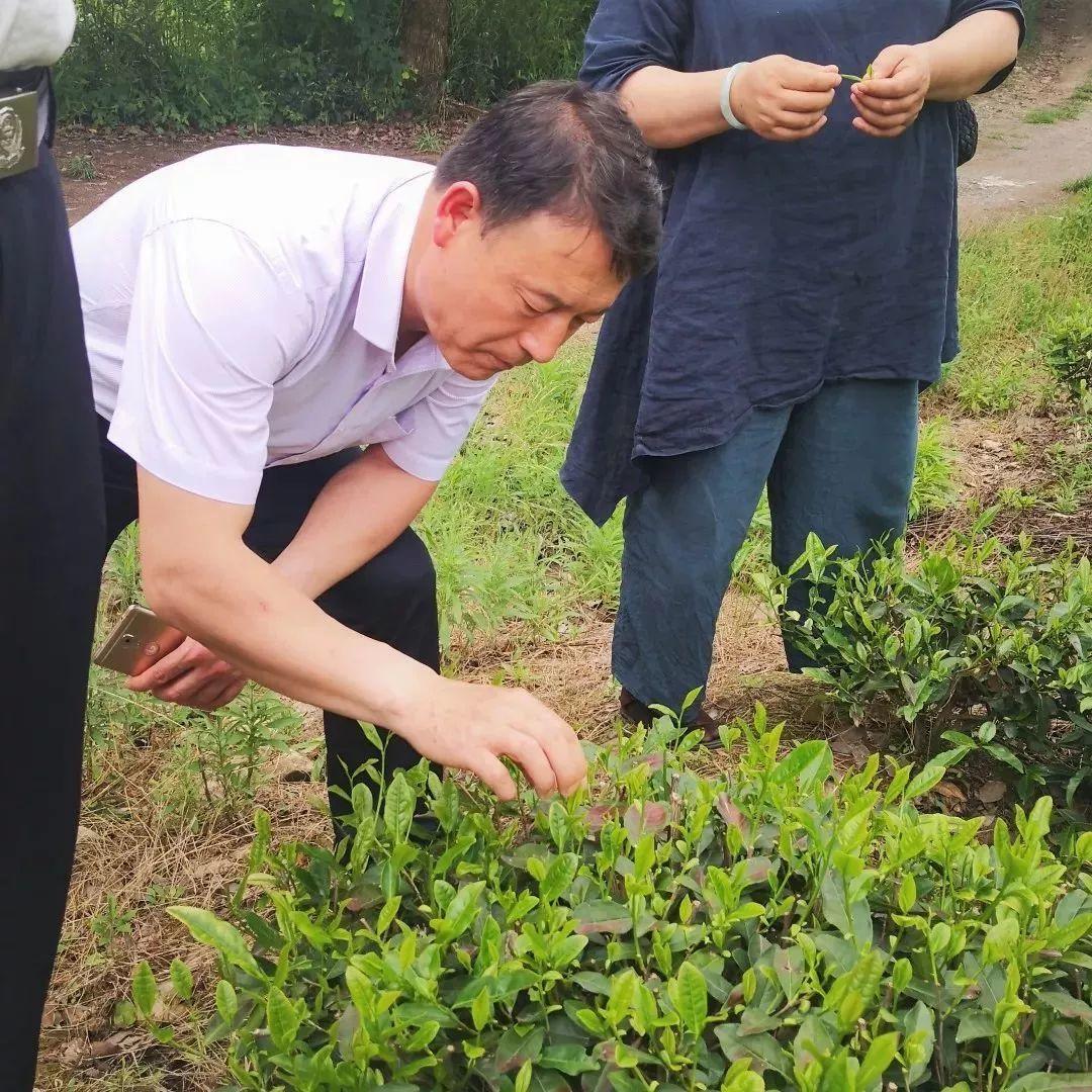 学会助力,同济规划牵线结对帮扶,共促乡村振兴:山西岚县乡村考察团走进浙江湖州 学会助力,同济规划牵线结对帮扶,共促乡村振兴:山西岚县乡村考察团走进浙江湖州
