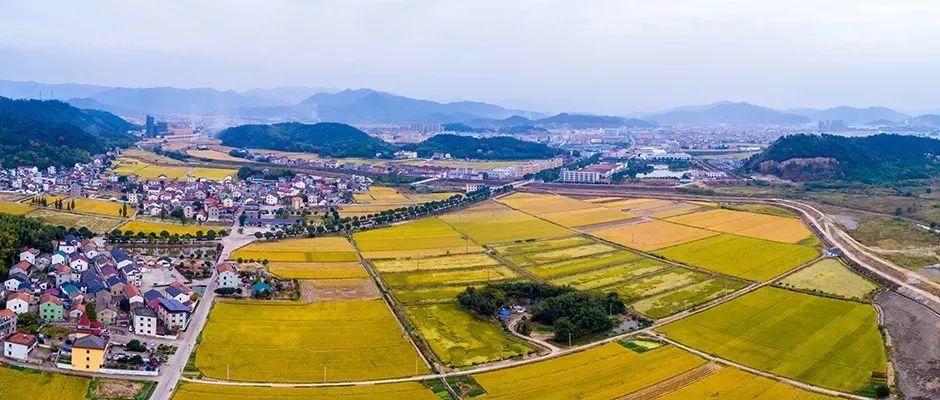 资讯︱专家支招生态文明新时代背景下如何保护耕地？