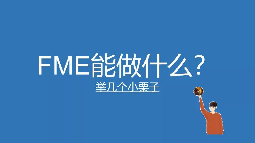 PPT分享——吴海平：FME在规划项目中的实证应用