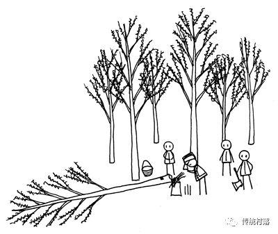 图解广西龙脊干栏住宅的建造