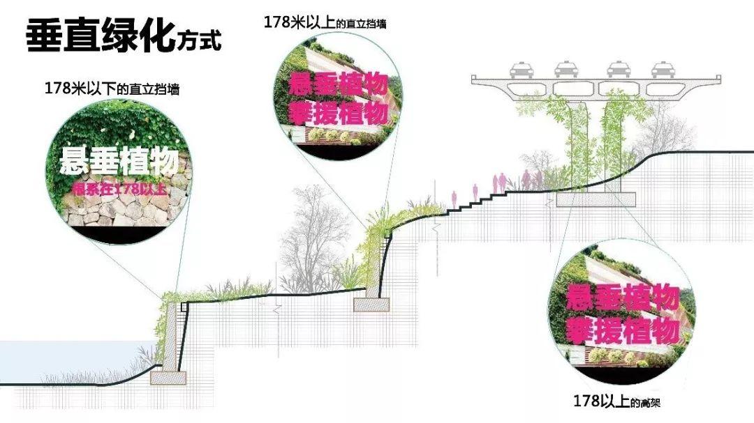 「新·案例」山城重庆的生态修复与城市设计 「新·案例」山城重庆的生态修复与城市设计