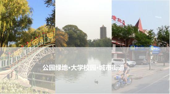 街道会让我们更健康吗？