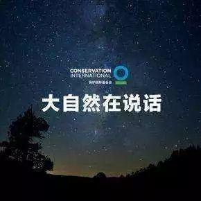 #特别关注#蒋雯丽、姜文、葛优、陈建斌、周迅、梁朝伟、陈冲等大咖云集，为大自然发声
