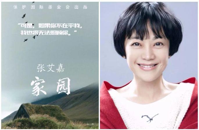 #特别关注#蒋雯丽、姜文、葛优、陈建斌、周迅、梁朝伟、陈冲等大咖云集，为大自然发声