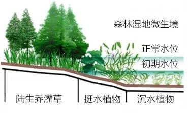 「新·案例」山水园林城市的国土空间生态修复 「新·案例」山水园林城市的国土空间生态修复