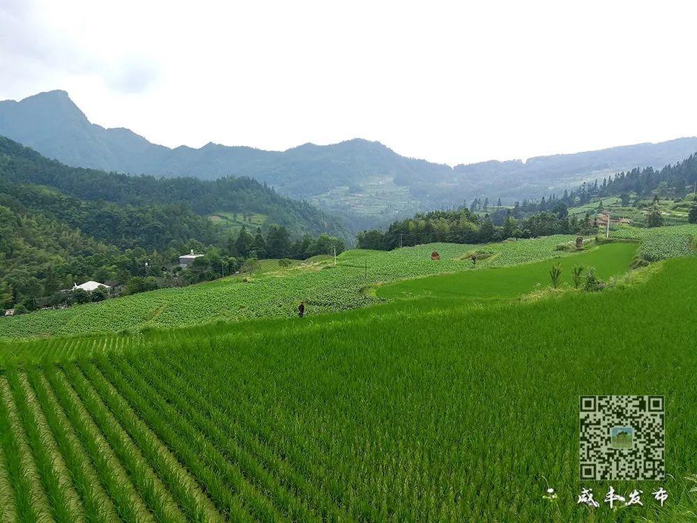 东厢溪:揽青山入怀 枕溪水而眠 东厢溪:揽青山入怀 枕溪水而眠